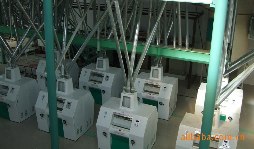 Steel Frame Type Wheat Milling 